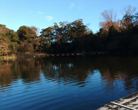 大安トラウトレイク釣果